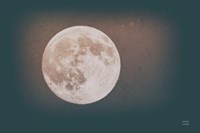 Spring Moon Tones Fine Art Print