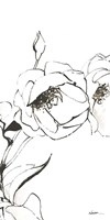 Sketch of Roses Panel III Fine Art Print