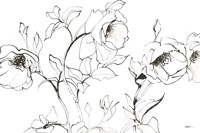 Sketch of Roses Fine Art Print