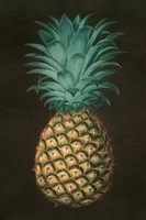 Vintage Pineapple I Fine Art Print