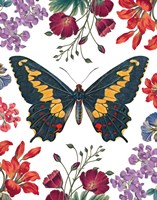Butterfly Garden III Fine Art Print
