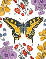 Butterfly Garden IV Fine Art Print