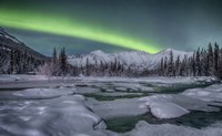 Northern Lights, Annie Lake Fine Art Print