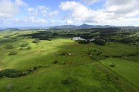 Wailua River State Park Fine Art Print