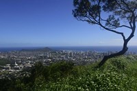 View from Tantalus Lookout Overlooking Honolulu, Oahu, Hawaii Fine Art Print
