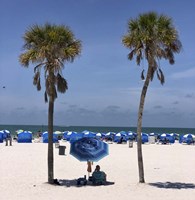 Umbrella, Chairs and Palm Trees Fine Art Print