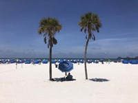Umbrella, Chairs and Palm Trees on Clearwater Beach, Florida Fine Art Print