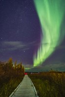An Auroral Arc Over the Boardwalk at Rotary Park in Yellowknife Fine Art Print