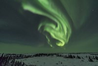 Swirls of Auroral Curtains in the Northeast Sky, Churchill Fine Art Print