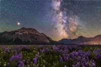 The Summer Milky Way and Mars Over Waterton Valley and Vimy Peak Fine Art Print