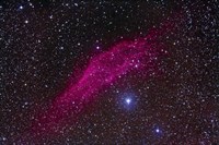 The California Nebula in Perseus Fine Art Print