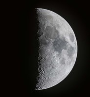 The 7 Day Old First Quarter Moon Fine Art Print