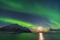 Auroral Curtains Along the Norwegian Coast Fine Art Print