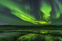 Aurora Over Prosperous Lake, Near Yellowknife Fine Art Print