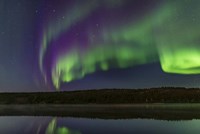 Colorful Aurora in the Darkening Twilight Over Madeline Lake Fine Art Print