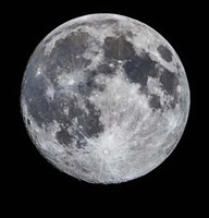 14 Day Old Moon With South Polar Region Fine Art Print