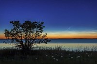 Comet NEOWISE Over Deadhorse Lake Fine Art Print