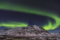 Northern Lights Over Stamsund Fjord, Norway Fine Art Print