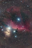 Horsehead Nebula and Flame Nebula Fine Art Print