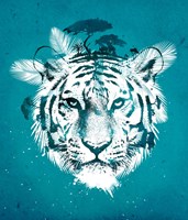 White Tiger Fine Art Print