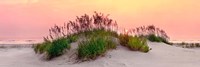 Sea Oats Sun Fine Art Print