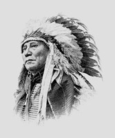 Chief Hollow Horn Bear, a Brule Lakota leader during the Indian Wars Fine Art Print