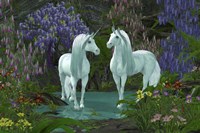 Mare and Stallion White Unicorns Fine Art Print