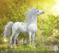 White Unicorn Stallion Stands in a Meadow Full of Flowers Fine Art Print