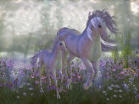 Adult and Baby Unicorn in a Field of Flowers Fine Art Print