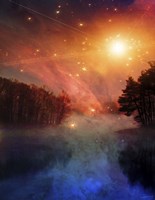 Night Forest Lake Sunrise Or Sunset Fine Art Print