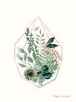 Terrarium Fine Art Print