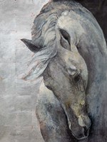 Shy Grey Fine Art Print