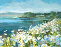 Wild Daisy Bay Fine Art Print