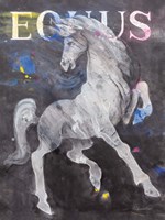 Equus Stallion Fine Art Print