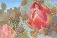 Desert Garden Fine Art Print