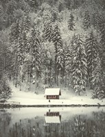 Cabin in the Woods Fine Art Print