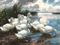 Ducks by the Lake 1 Fine Art Print