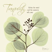 Tranquility Fine Art Print