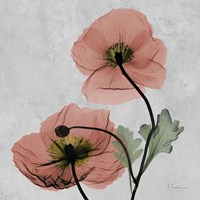 Iceland Marsala 1 Fine Art Print