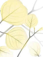 Illuminated Eternity 1 Fine Art Print