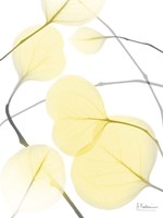 Illuminated Eternity 2 Fine Art Print