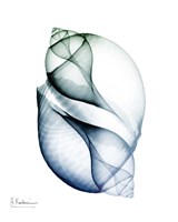 Crystal Breeze 1 Fine Art Print