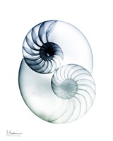 Crystal Breeze 2 Fine Art Print