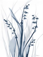 Radiant Blues 2 Fine Art Print