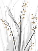 Delightful Oasis 3 Fine Art Print