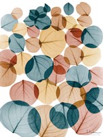 Urban Baybean Leaves Fine Art Print