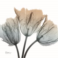 Earthy Tulips Fine Art Print