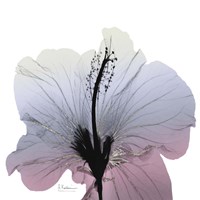 Silver Splash 1 Fine Art Print