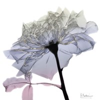 Silver Splash 3 Fine Art Print