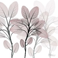 Embraced Affection Fine Art Print